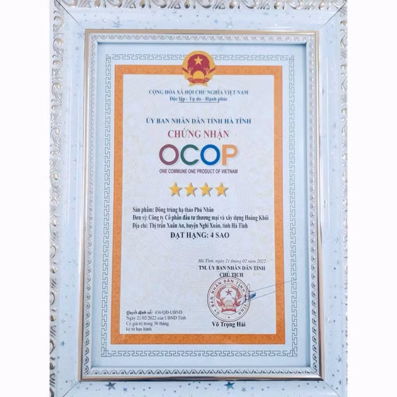 Đông trùng hạ thảo Phú Nhân
