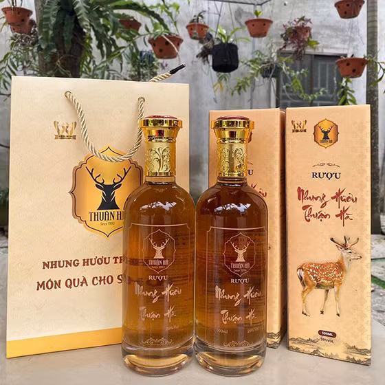 Rượu nhung hươu Thuận Hà