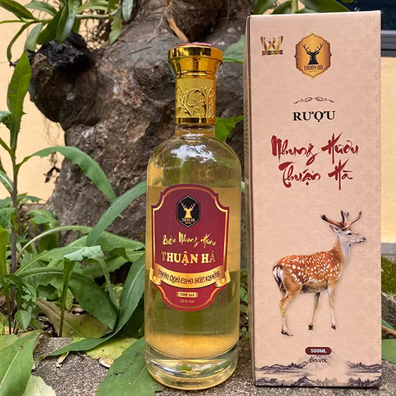 Rượu nhung hươu Thuận Hà