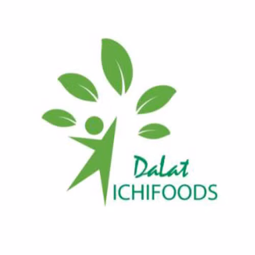Bột cần tây sấy lạnh nguyên chất Dalat Ichifoods 