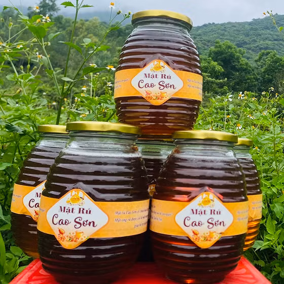 Mật ong rú Cao Sơn