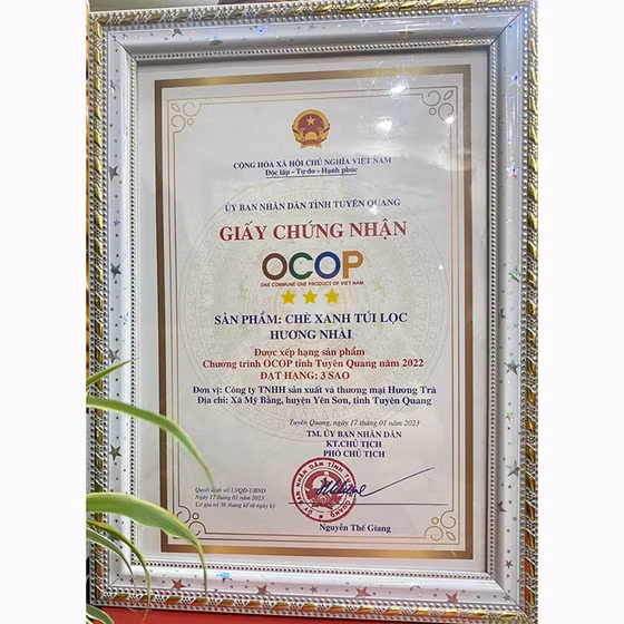 Chè xanh túi lọc hương nhài Hương Trà