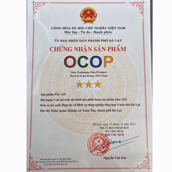 Cà rốt Đà Lạt