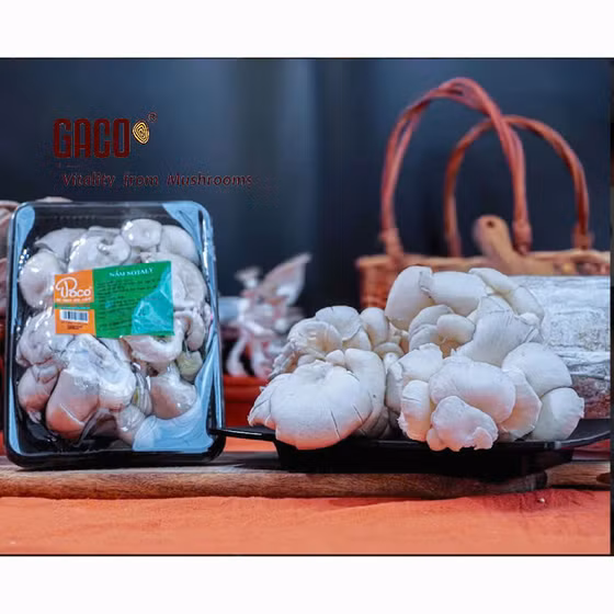 Nấm sò Notaly