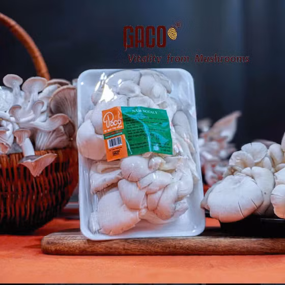 Nấm sò Notaly