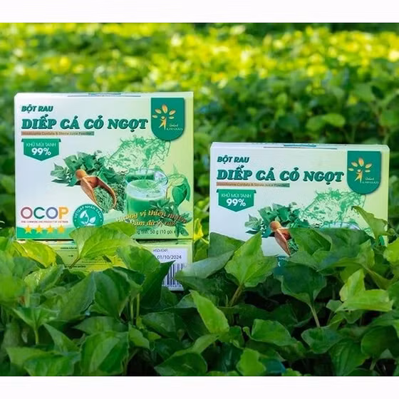 Bột diếp cá cỏ ngọt Dalat Ichifoods
