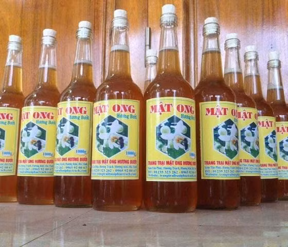 Mật ong hương bưởi
