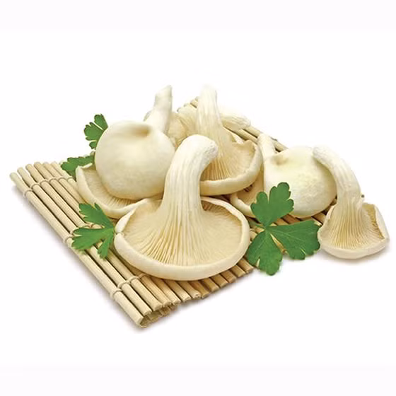 Nấm Thương Huyền