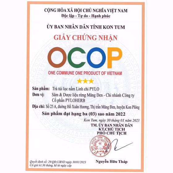 Trà linh chi PyLo