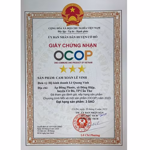 Cam xoàn Lê Vinh