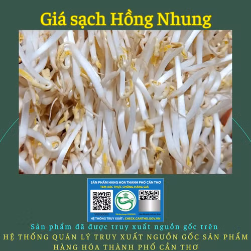 Giá sạch Hồng Nhung