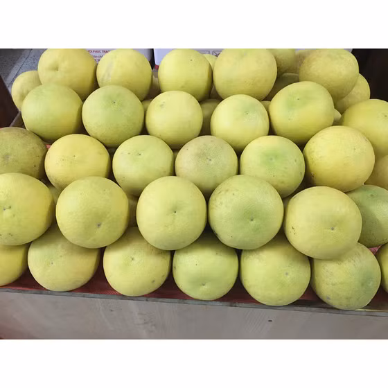 Bưởi Phúc Trạch Bắc Sơn