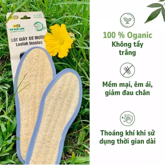 Lót giày xơ mướp