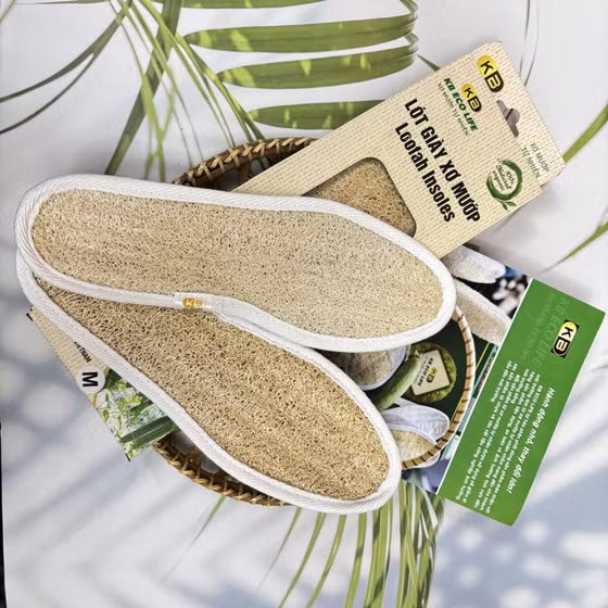 Lót giày xơ mướp
