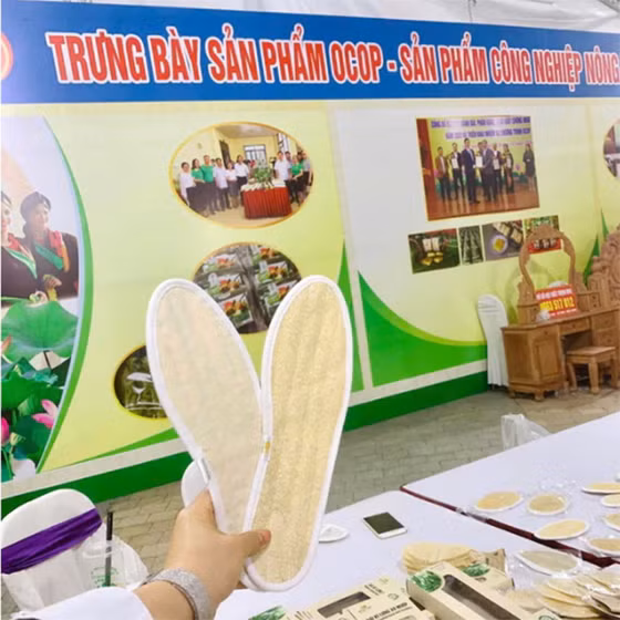 Lót giày xơ mướp