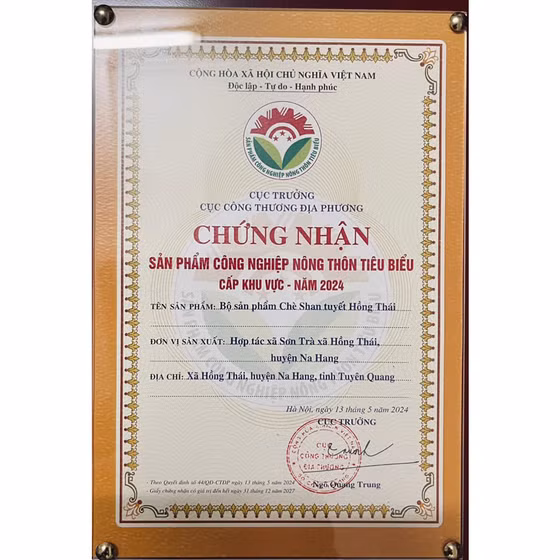 Chè Shan tuyết Hồng Thái 1 tôm 2 lá 