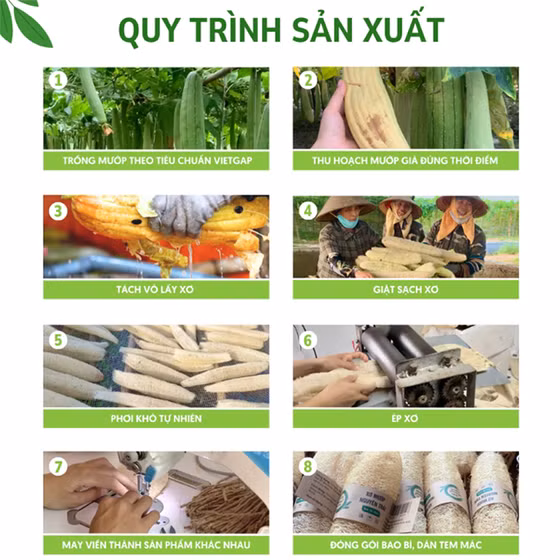 Bông tắm xơ mướp
