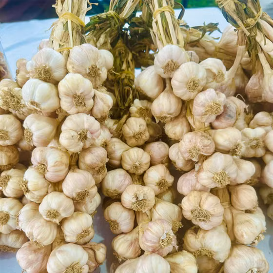 Tỏi cắt lát sấy khô bà Lý