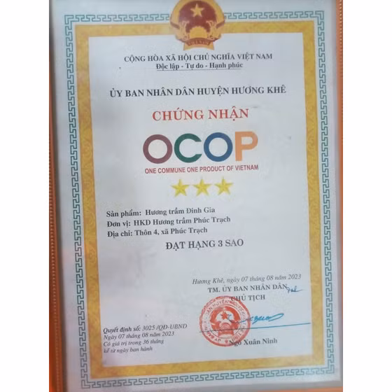 Hương trầm cao cấp Đinh Gia