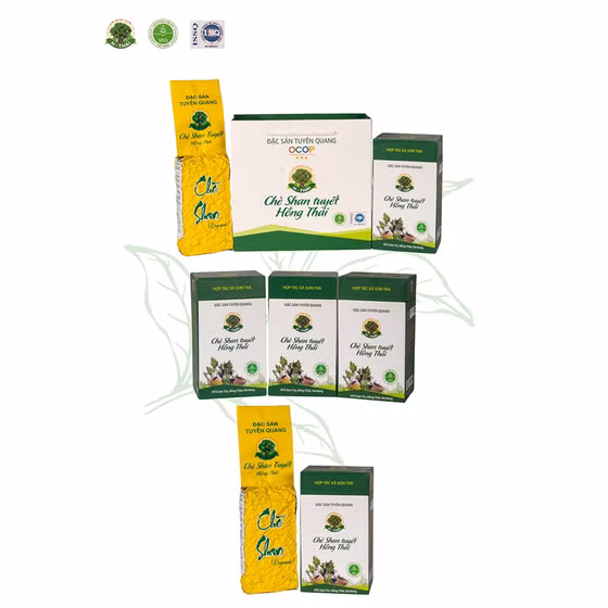 Chè Shan tuyết Hồng Thái 1 tôm 2 lá 