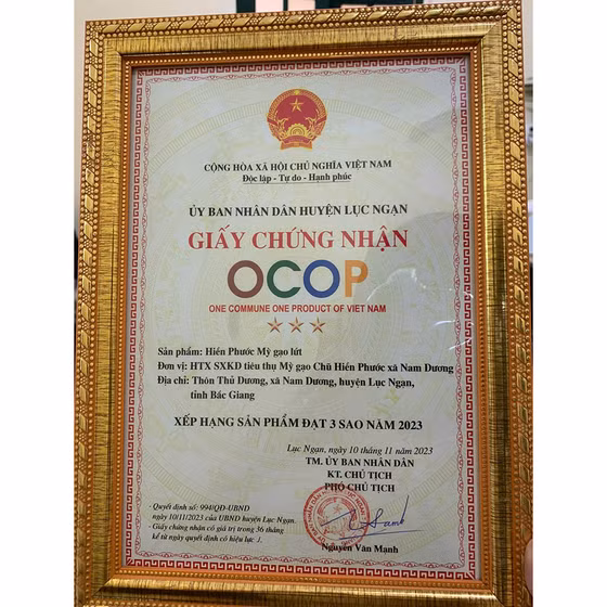 Hiền Phước mỳ gạo lứt