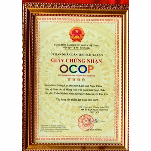 Măng Lục trúc tươi Lâm Sinh Ngọc Châu 