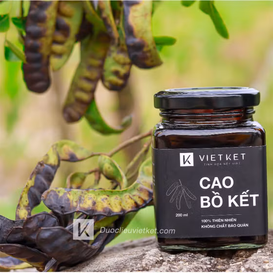 Cao bồ kết
