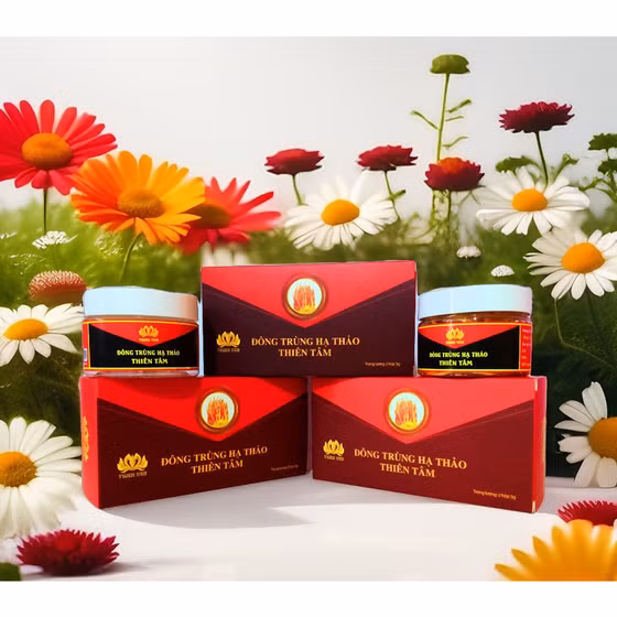 Đông trùng hạ thảo Thiên Tâm