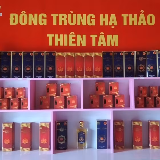 Đông trùng hạ thảo Thiên Tâm