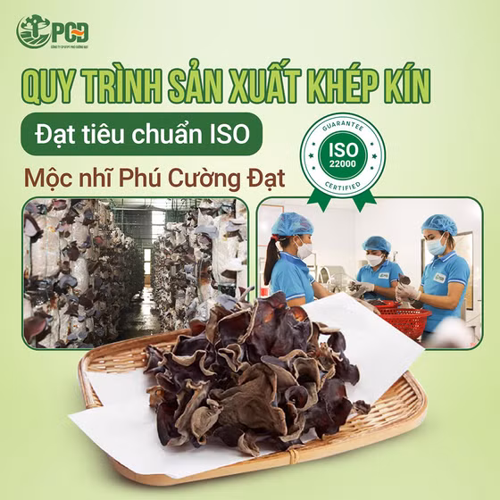 Nấm mộc nhĩ Phú Cường Đạt