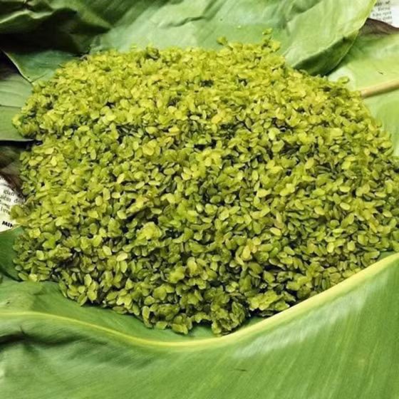 Cốm xanh Thượng Giáp