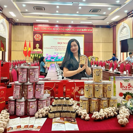 Tỏi cắt lát sấy khô bà Lý