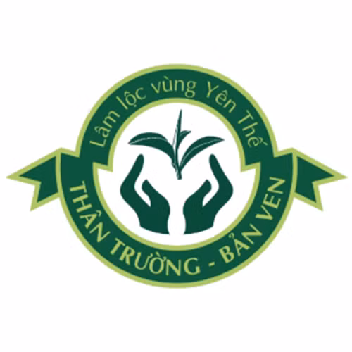 Chè xanh Bản Ven