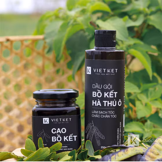 Dầu gội đầu bồ kết-hà thủ ô