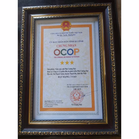 Nấm mộc nhĩ Phú Cường Đạt