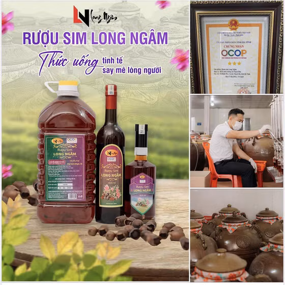 Rượu sim Long Ngâm