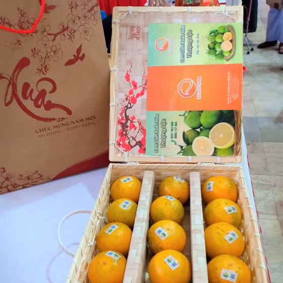 Cam giòn Xuân Hòa Thượng Lộc