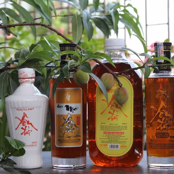Rượu mơ Yên Tử 