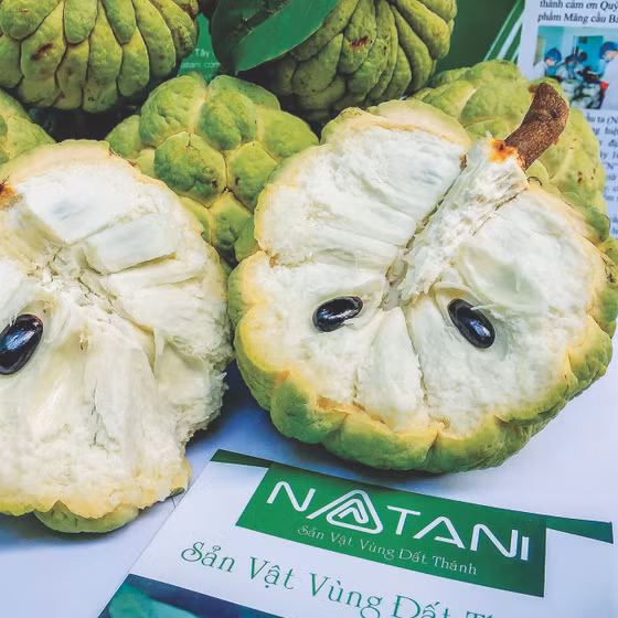 Mãng cầu Natani