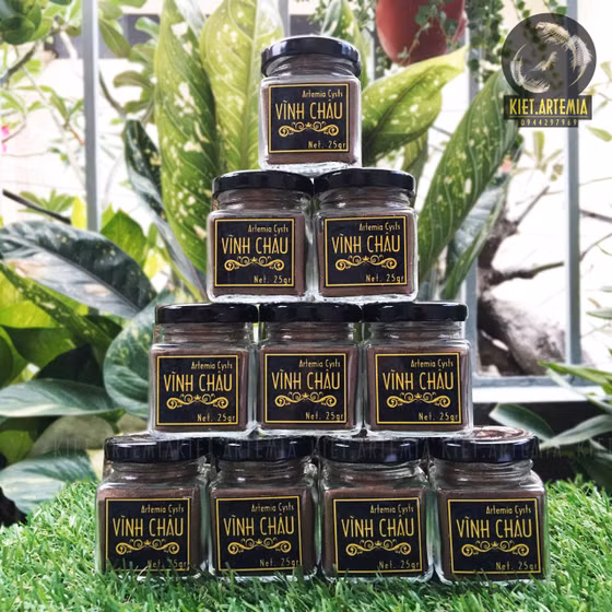 Trứng bào xác Artemia Vĩnh Châu