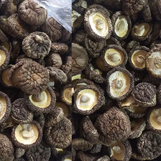 Nấm hương khô Hợp tác xã Hợp Giang 