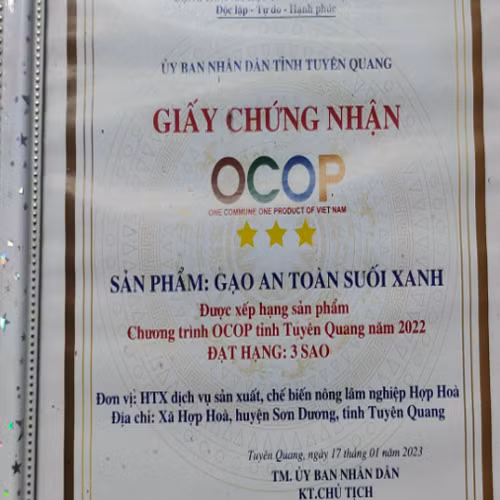 Gạo an toàn Suối Xanh