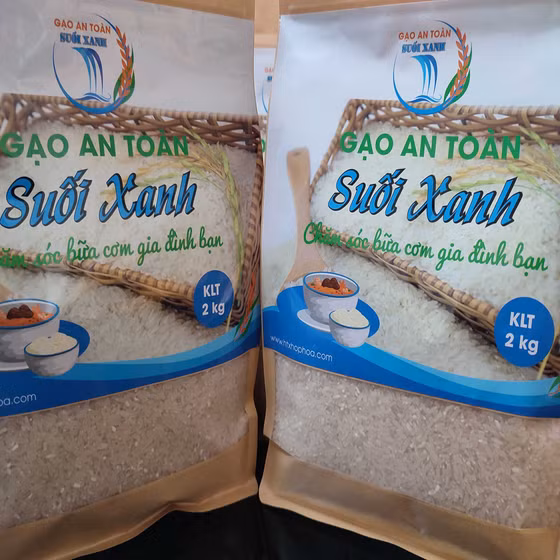 Gạo an toàn Suối Xanh