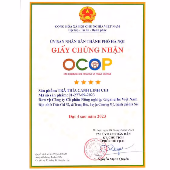 Trà thìa canh linh chi