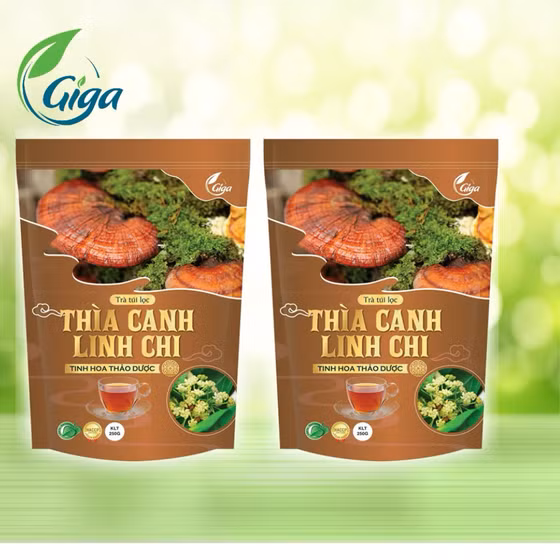 Trà thìa canh linh chi