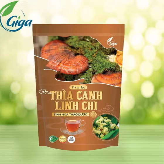 Trà thìa canh linh chi
