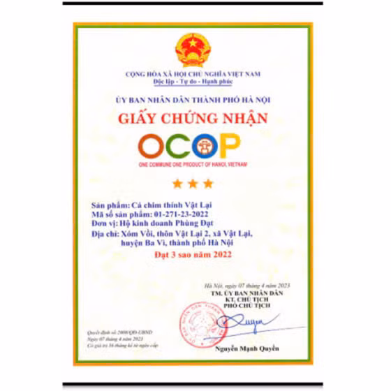 Cá chim thính Vật Lại