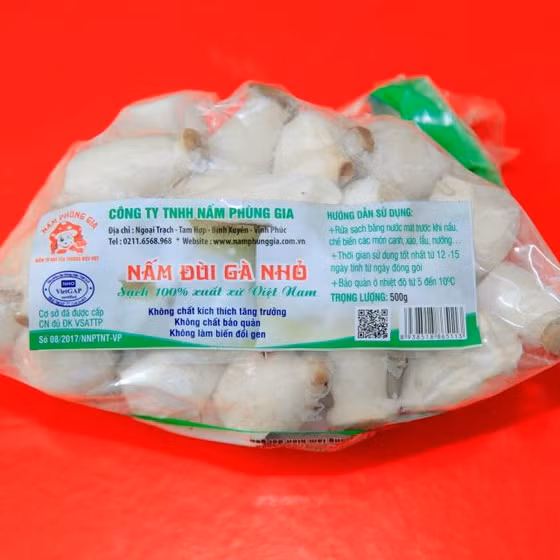 Nấm đùi gà Phùng Gia