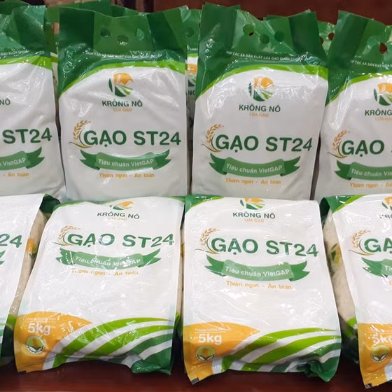 Gạo ST24 Krông Nô