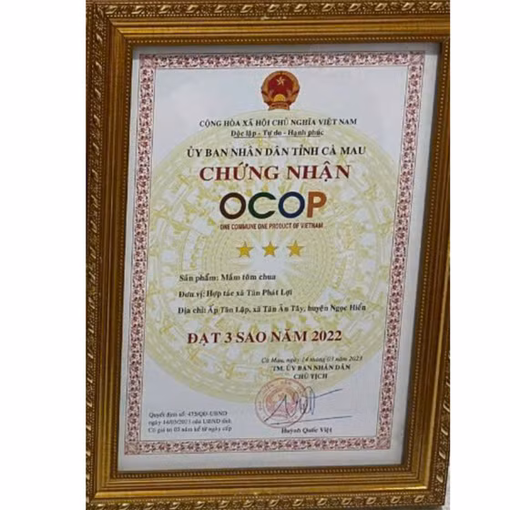 Mắm tôm chua